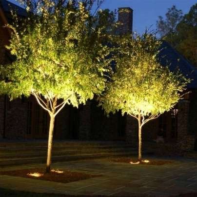 Spotlights & Uplighting