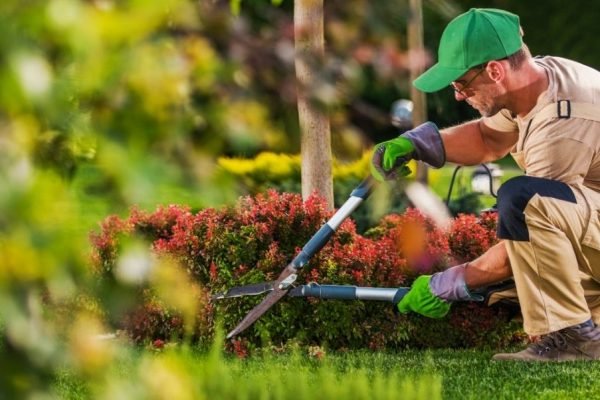 Landscaping Contractor in San Antonio