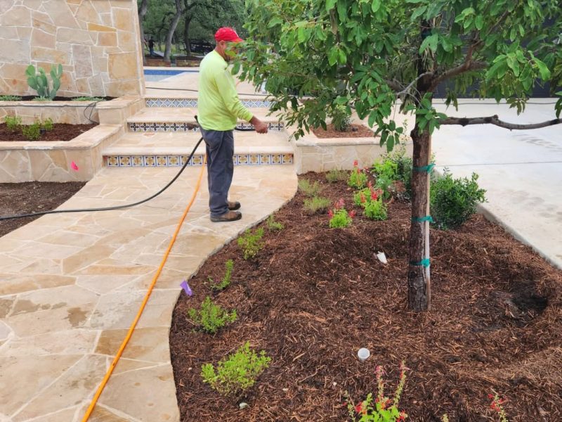 More pics to come, but this backyard transformation is almost wrapped up. A few more plants, s (1)